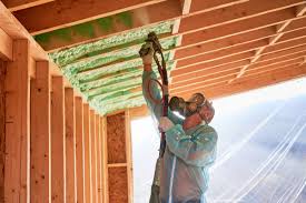 Eco-Friendly or Green Insulation Solutions in Fern Acres, HI